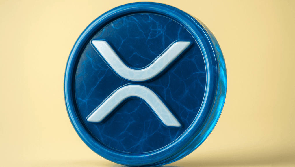 vrxxrp.png