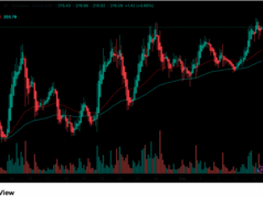 HYPE Crypto Hits All-Time High: Outperforming SOL for Q4?