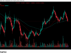 LINK vs XRP: Which Crypto is Better to Hold in Q4 2025?