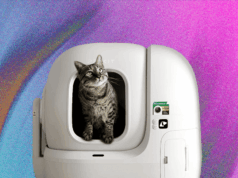 7 Best Automatic Litter Boxes (2025), Tested and Reviewed