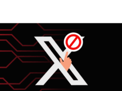 Crypto founder threatens to sue Elon Musk over X account suspension