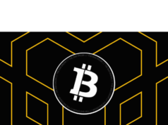 AI Agent BadCoin fumbles BSC launch, anti-sniping software flags traders