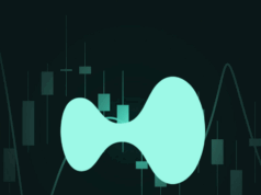 Hyperliquid leaderboards confuse traders as HYPE hits all-time high