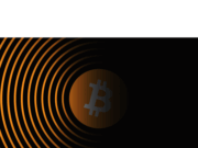 Most new BTC treasury stocks down at least 50% this year