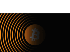 Most new BTC treasury stocks down at least 50% this year