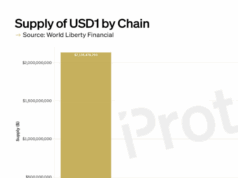 CHART: Which blockchains is USD1 issued on?