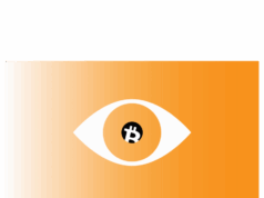 Bitcoin Core v30 could cause ‘catastrophic’ node shutdown, critics warn