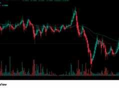 Will Revolut and Google App Store Save GRASS Price Ahead of S2 Airdrop?