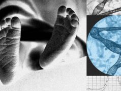 A New Startup Wants to Edit Human Embryos