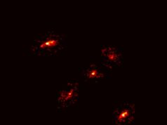 A Newly Discovered ‘Einstein’s Cross’ Reveals the Existence of a Giant Dark Matter Halo