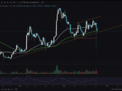 DOGE Price Breaks Key Support: Is Alt Run No More?