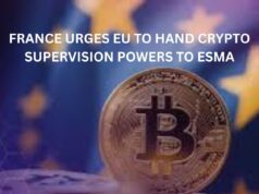 France urges EU to hand crypto supervision powers to ESMA: Report