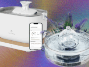 9 Best Cat Water Fountains, WIRED Tested and Reviewed (2025)