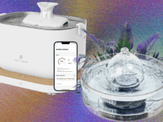 9 Best Cat Water Fountains, WIRED Tested and Reviewed (2025)