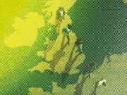 The New Power of Far-Right Influencers