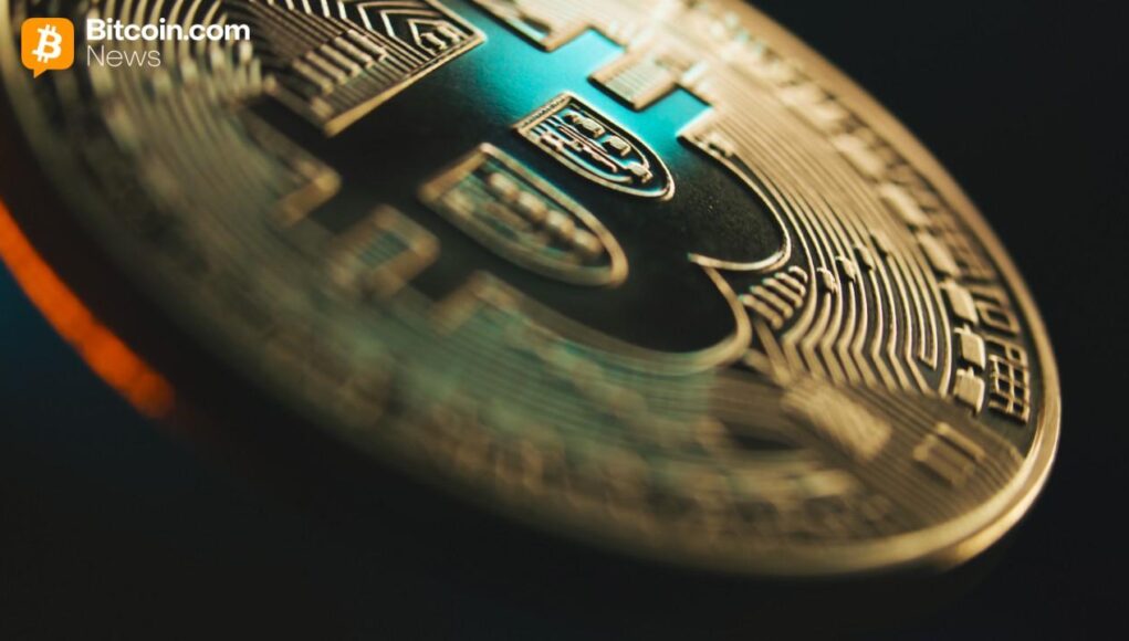 bitwise-bitcoin-treasury-report.jpg