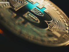 Bitcoin Sees Historic Institutional Uptake With 40% Rise in Public Company Holders