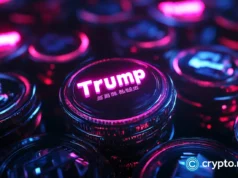 WLFI price soars as whales buy and USD1 stablecoin growth accelerates