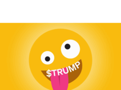 Trump memecoin guy wanted to throw $10K off Empire State Building