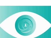 SafeMoon’s image was carefully curated — and misleading, witness says