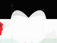 Vape Cabal members harassed by Palestine News Network in LA