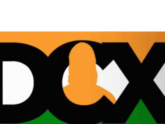 CoinDCX hack: $44M gone after dev opens file from side gig