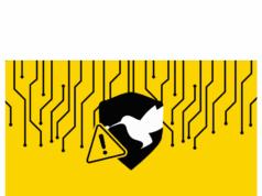 Inside the fallout from PeckShield’s Synnax Labs audit