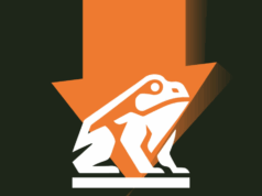 The spectacular collapse of David Bailey’s Nakamoto