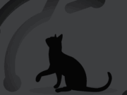 ‘Kill a Waymo, Save a Cat’: Internet mourns as crypto launches KitKat coins