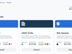 Loopscale Review : Unlocking Powerful DeFi Lending with Smart, Fixed-Rate Markets 2025