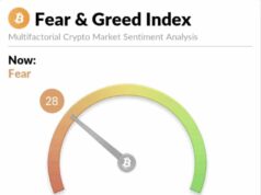 Bottom In, Extreme Fear is Over: Is Crypto Back For a Bullrun?