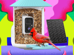 Amazon Is Having a Huge Black Friday Sale on Birdfy Smart Bird Feeders (2025)