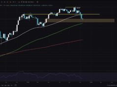 Bitcoin Price Drops Below $90,000: Where Are The Bulls?