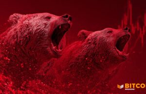 Bitcoin Price Crashes To $80,000 Before Rebounding