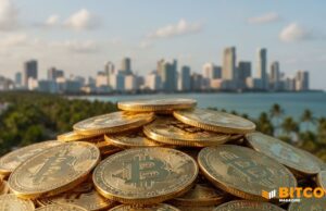 Miami Mayor Says His Bitcoin Paycheck Is Up 300%