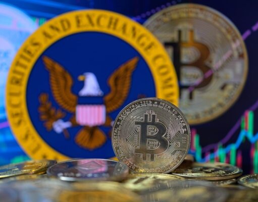 SEC Puts Crypto Treasury Probe on Hold During Shutdown