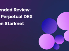 Extended Review: Best Perpetual DEX on Starknet 2025