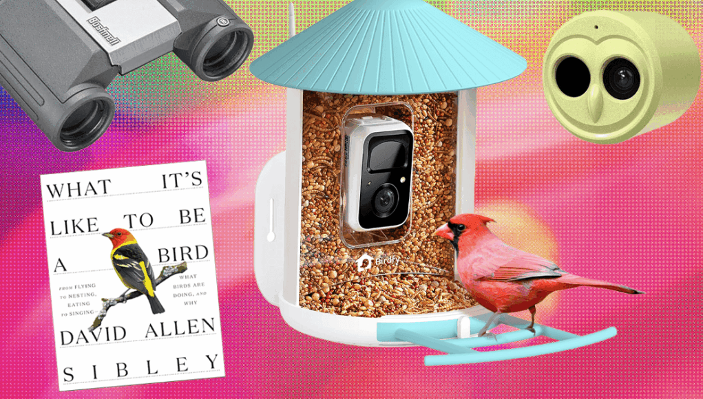 The201920Best20Gifts20for20Bird20Lovers.png