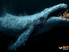 Bitcoin Whales Are Buying During Price Crash: VanEck