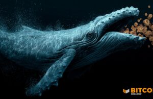 Bitcoin Whales Are Buying During Price Crash: VanEck