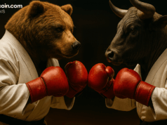 Bitcoin Price Watch: Bulls Build, Bears Guard Key Resistance