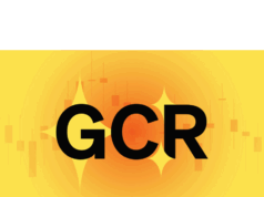Crypto star GCR allegedly front-ran Teeka Tiwari’s picks, Binance listings