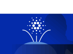 Cardano whale slams Charles Hoskinson, calls for voting revolt