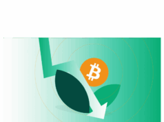 Bitcoin treasury firm NAKA’s shares and mNAV crashed 90%