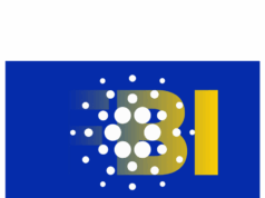 Cardano crisis: senior dev quits after Hoskinson calls in the feds