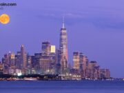 Moonpay Obtains New York Trust Charter to Expand Regulated Digital Asset Services