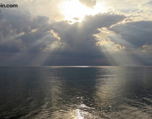 Ripple Sees Tremendous Traction With Africa and Turkey Fueling Flows