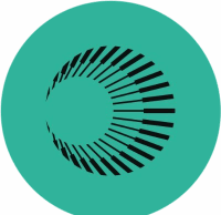 Plasma (XPL Crypto) Loses 85 % of Its Value in Six Weeks: What Happened?