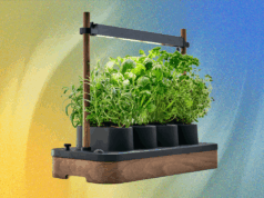 The Auk Mini Herb Garden Is Still Up to $30 Off (2025)