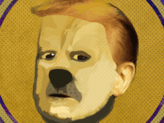 In Cryptoland, Memecoin Fever Gives Way to a Stablecoin Boom